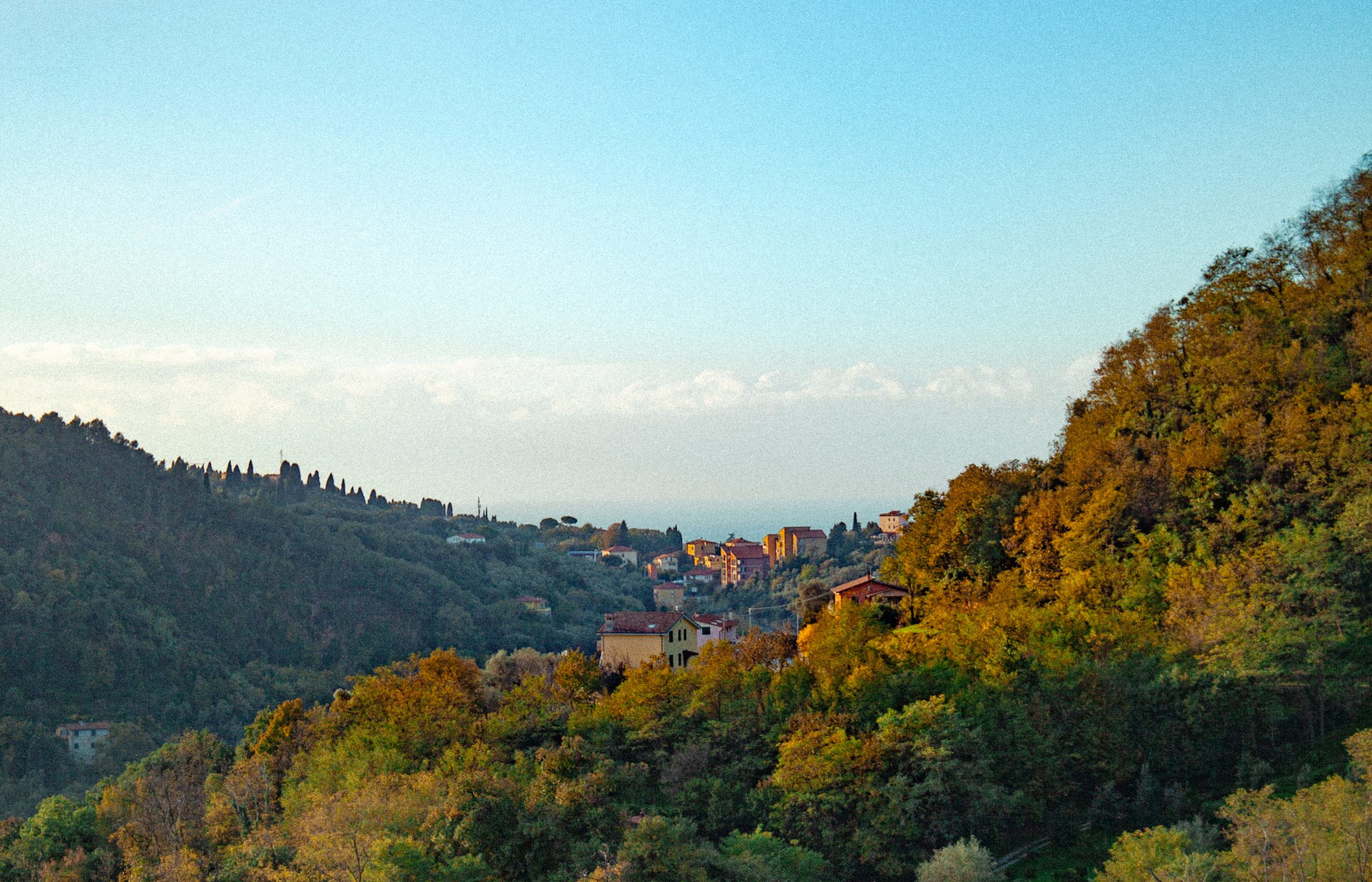 ANDANDO NEL SOLE CHE ABBAGLIA